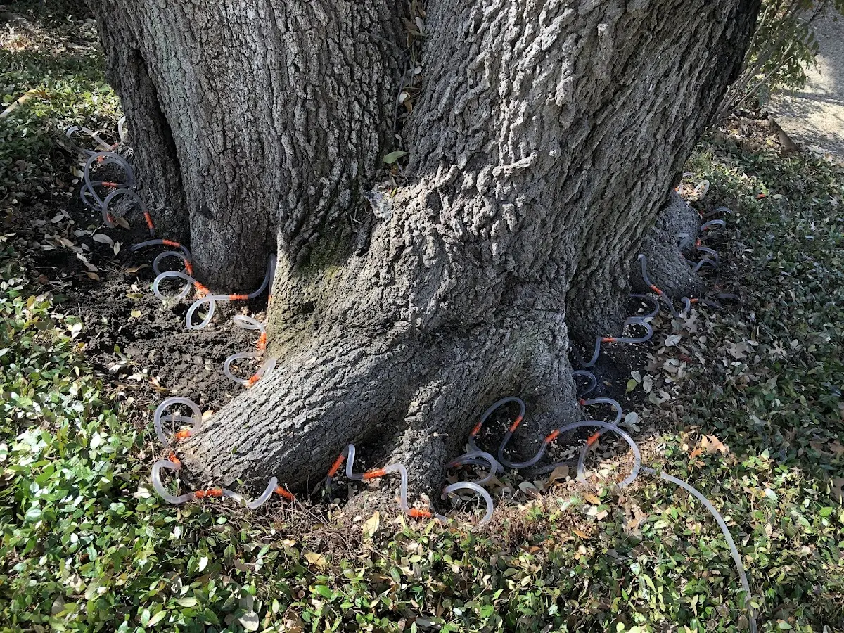 Detailed Shrub and Hedge Trimming job site in Liberty